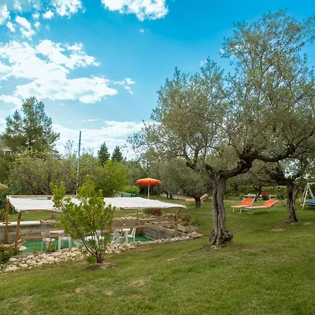 Elster-6 By Interhome Apartment Collecorvino