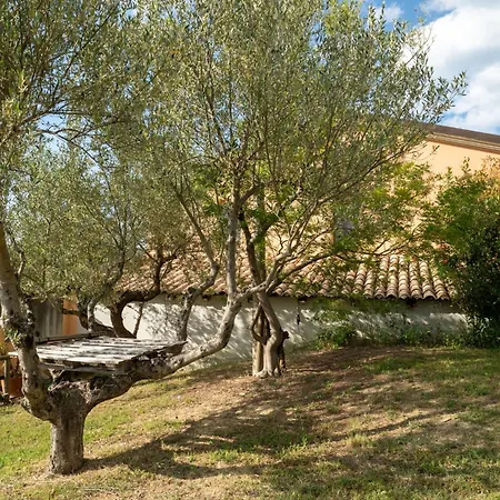 Lejlighed Elster-6 By Interhome Collecorvino