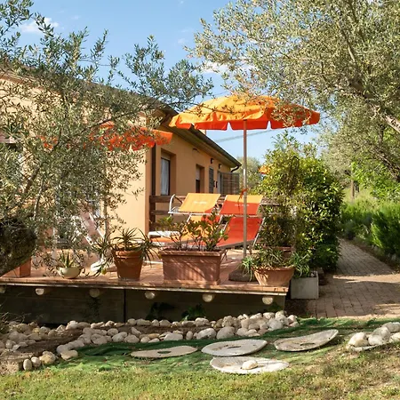 Elster-6 By Interhome Apartment Collecorvino